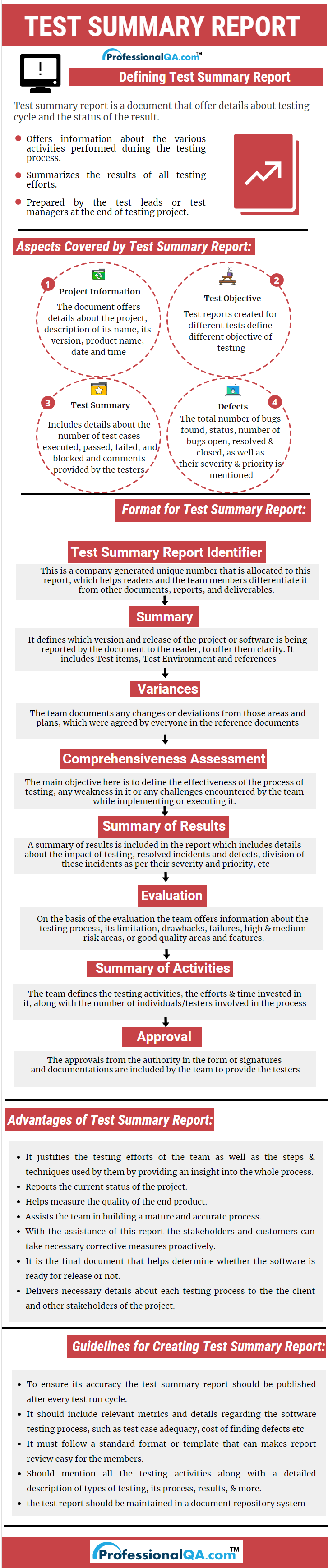 Test Summary Report Infographics